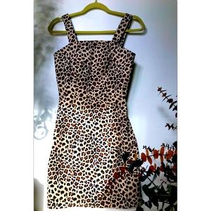 XSmall Form fitting Leopard Print Mini Dress